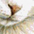 Предпросмотр схемы вышивки «Котенок» (№1132527)