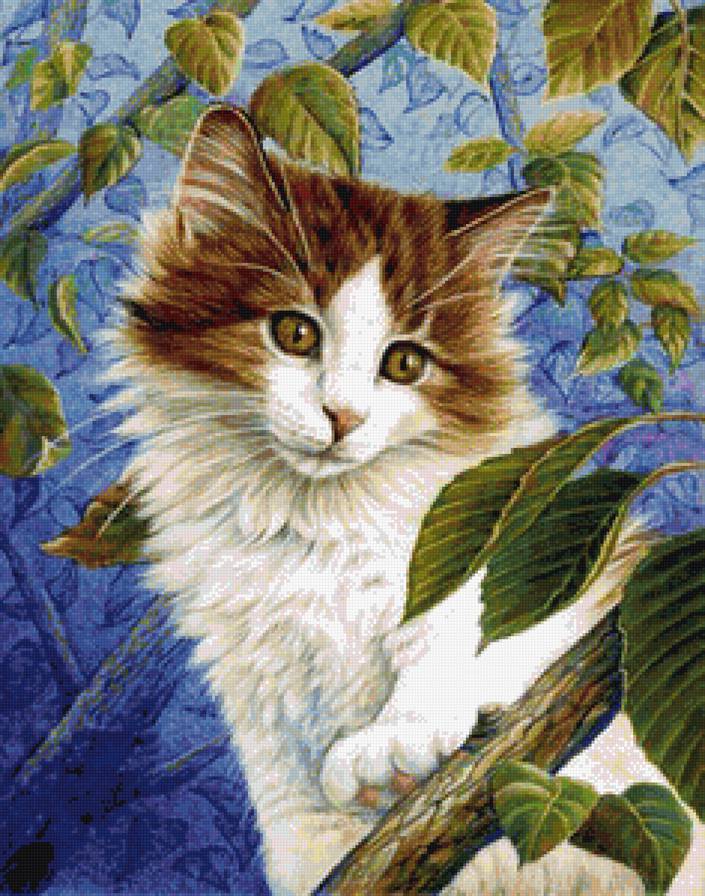 Котенок - котенок, коты, кошка, домашние любимцы, картина, животные - предпросмотр