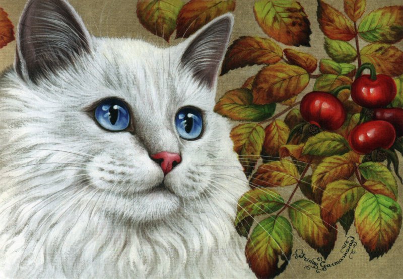 Кот и шиповник - оригинал