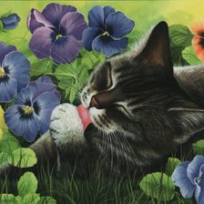 Схема вышивки «Кот и маргаритки»