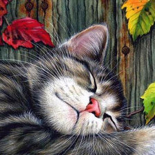 Сладкий сон