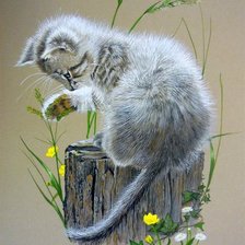 Схема вышивки «№1132664»