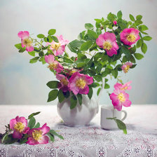 Схема вышивки «шиповник»