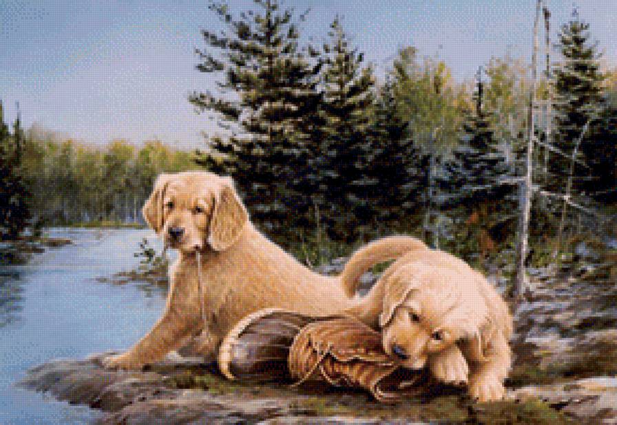 Животные - собаки, природа, животные - предпросмотр