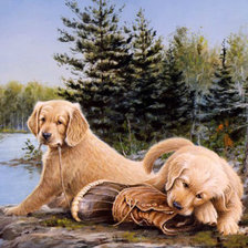 Схема вышивки «Животные»