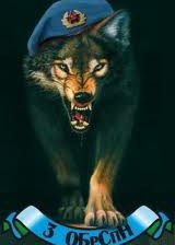 Схема вышивки «Волк десантник»