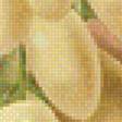 Предпросмотр схемы вышивки «Гроздь винограда» (№1133122)