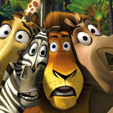 Схема вышивки «мадагаскар»