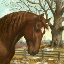 Схема вышивки «Лошадка»