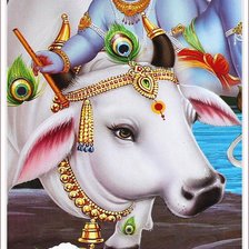 Схема вышивки «Корова»