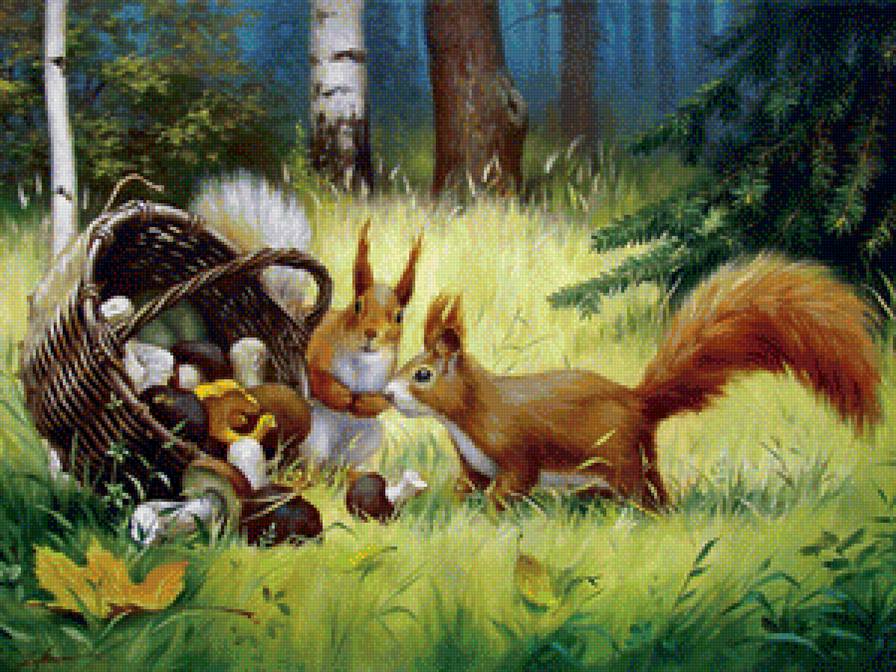Белки на поляне - белки, грибы, лес, корзина - предпросмотр