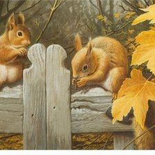 Схема вышивки «Белки»