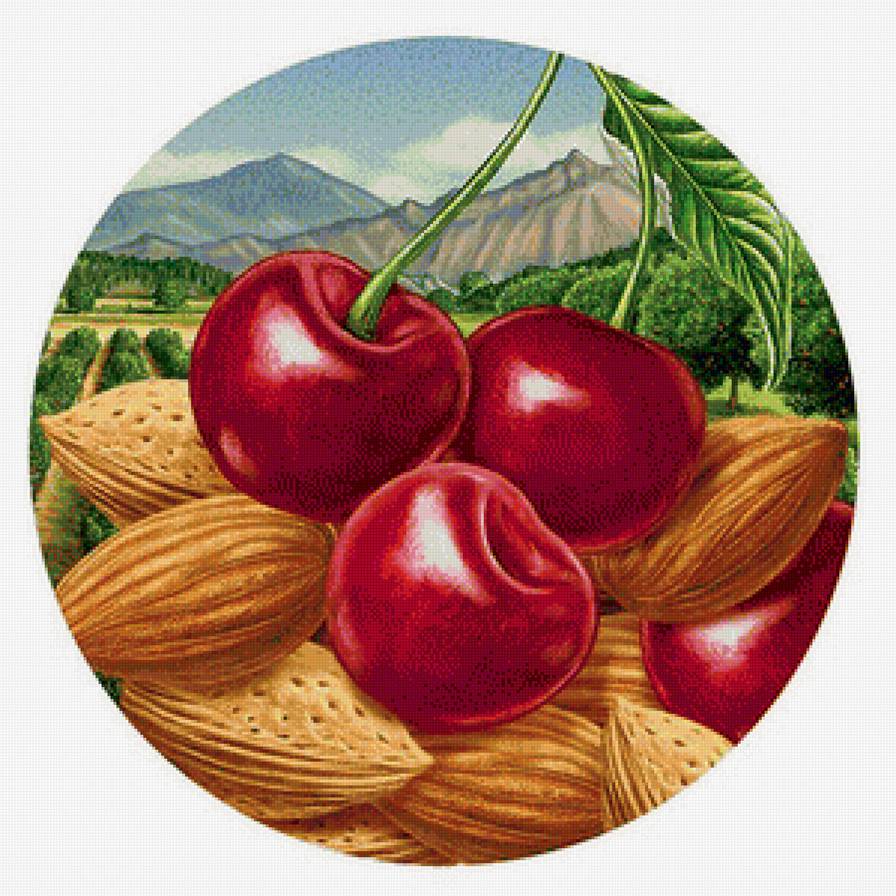 Ягодки - натюрморт, вишня, ягоды - предпросмотр