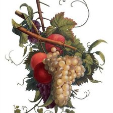 Схема вышивки «виноградный букет»