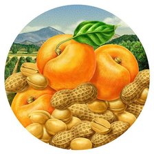 Схема вышивки «Абрикосы»