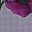 Предпросмотр схемы вышивки «Душистый горошек» (№1133693)