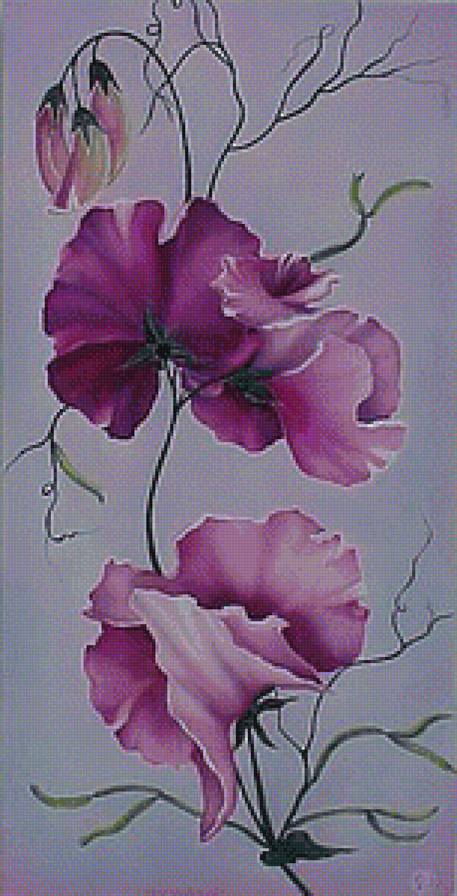 Душистый горошек - предпросмотр