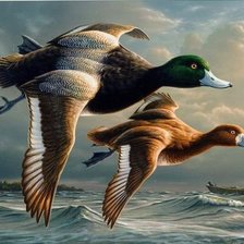 Схема вышивки «Летят утки»