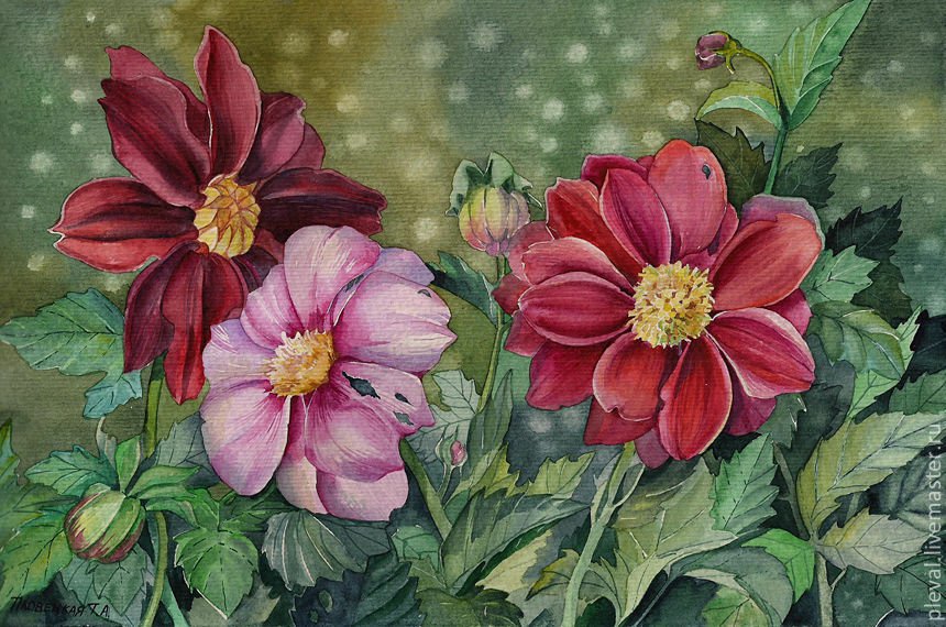 георгинки - оригинал