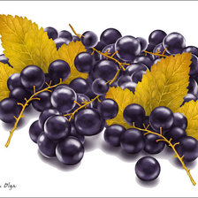 Схема вышивки «Ветки смородины»