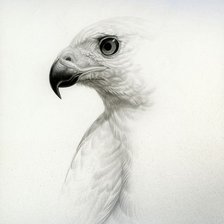 Схема вышивки «№1133779»