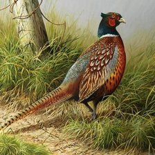 Схема вышивки «№1133936»