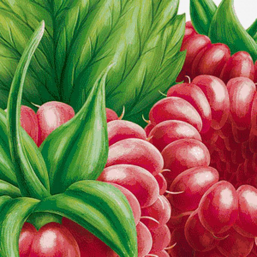 малина - ягоды - предпросмотр