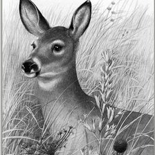 Схема вышивки «№1134079»