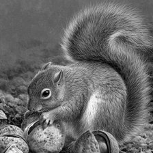 Схема вышивки «№1134093»