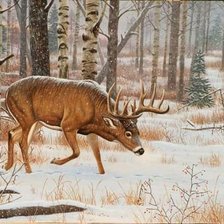 Схема вышивки «№1134116»