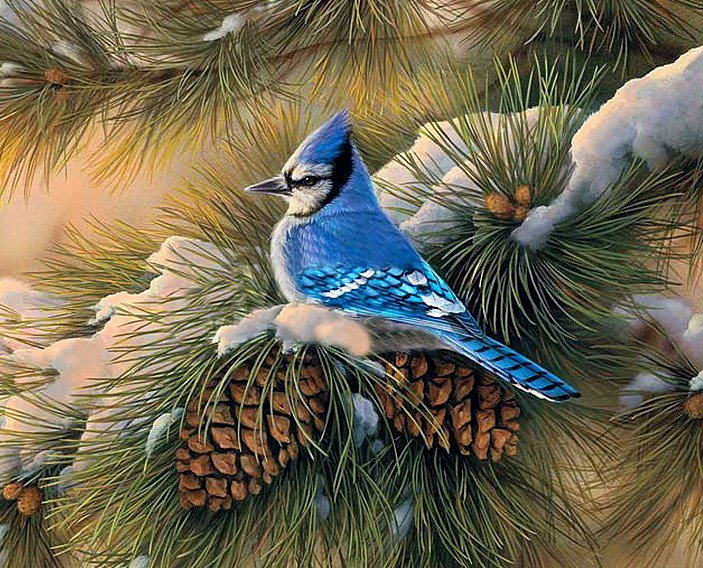 Птички - птицы - оригинал