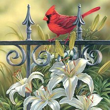 Схема вышивки «Птички»