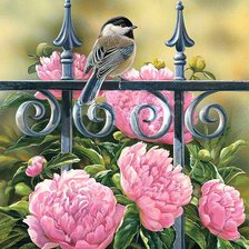 Схема вышивки «Птички»