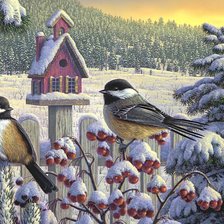 Схема вышивки «Птички»