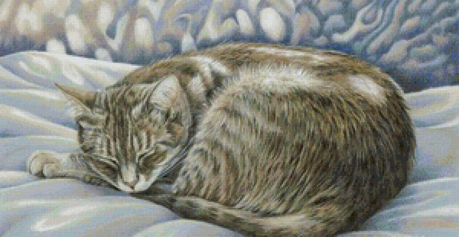 Котик - сон, коты, кот, животные, котенок - предпросмотр