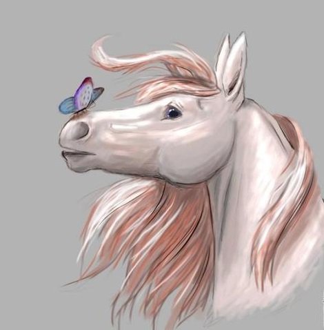 Друзья - друзья, животные, кони, бабочка, лошади - оригинал