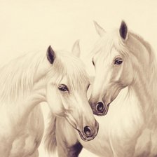 Схема вышивки «белые лошади»