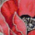 Предпросмотр схемы вышивки «маки» (№1135376)