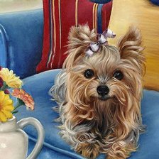 Схема вышивки «очаровашка»