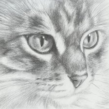 Схема вышивки «киса»