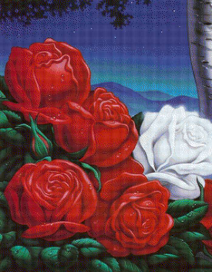 Розы - цветок, букет, цветы, роза - предпросмотр