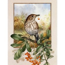 Схема вышивки «№1136340»