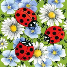 Схема вышивки «цветы»