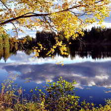 Схема вышивки «лес»
