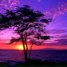 Схема вышивки «№1136533»