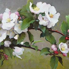 Схема вышивки «Ветка яблони»