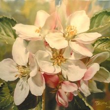 Яблоневый цвет