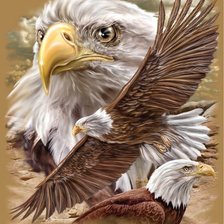 Схема вышивки «Орлы»