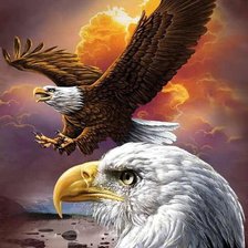 Схема вышивки «Орлы»