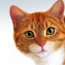 Схема вышивки «Рыжий красавец»